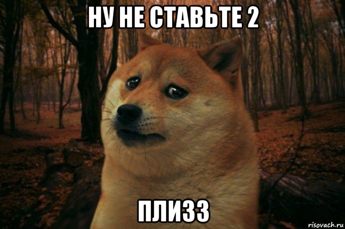 ну не ставьте 2 плизз, Мем SAD DOGE