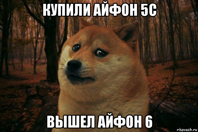 купили айфон 5с вышел айфон 6, Мем SAD DOGE