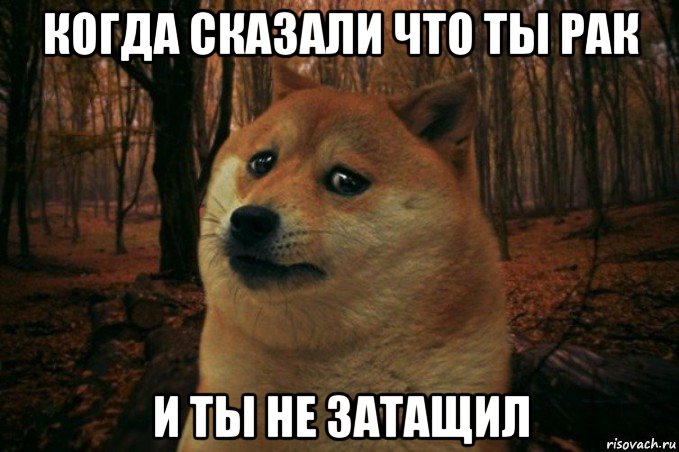 когда сказали что ты рак и ты не затащил, Мем SAD DOGE