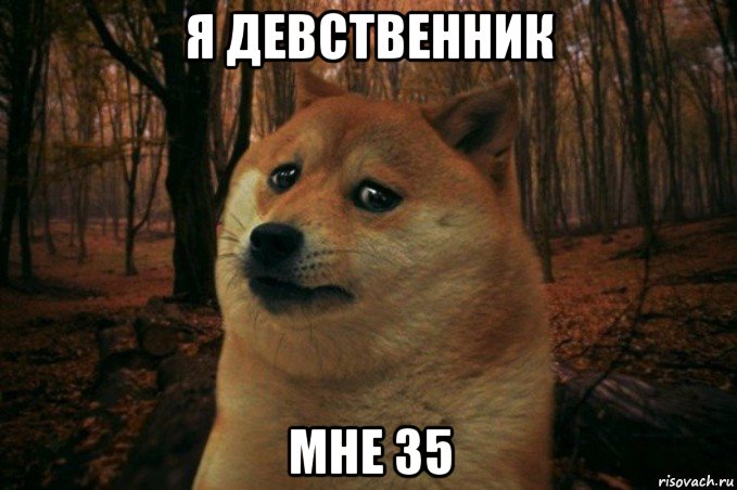 я девственник мне 35, Мем SAD DOGE