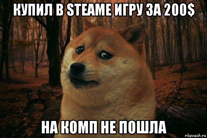 купил в steamе игру за 200$ на комп не пошла, Мем SAD DOGE