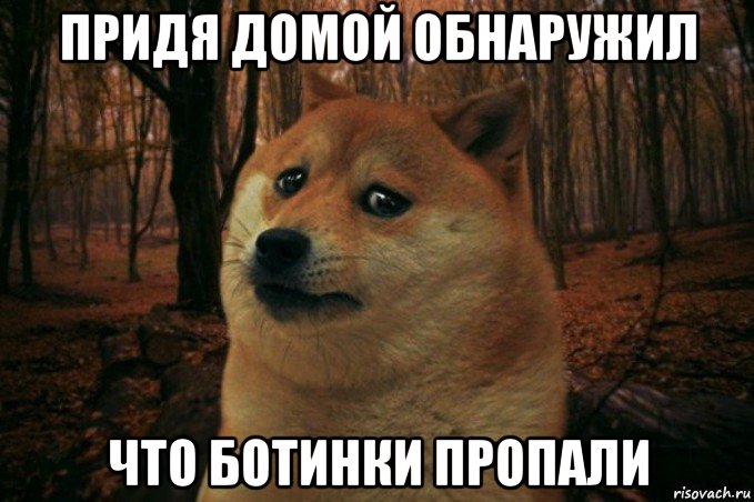 придя домой обнаружил что ботинки пропали, Мем SAD DOGE