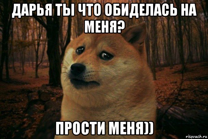 дарья ты что обиделась на меня? прости меня)), Мем SAD DOGE