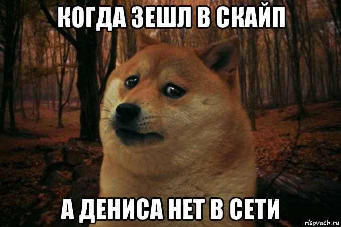 когда зешл в скайп а дениса нет в сети, Мем SAD DOGE