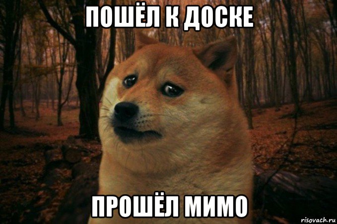 пошёл к доске прошёл мимо, Мем SAD DOGE