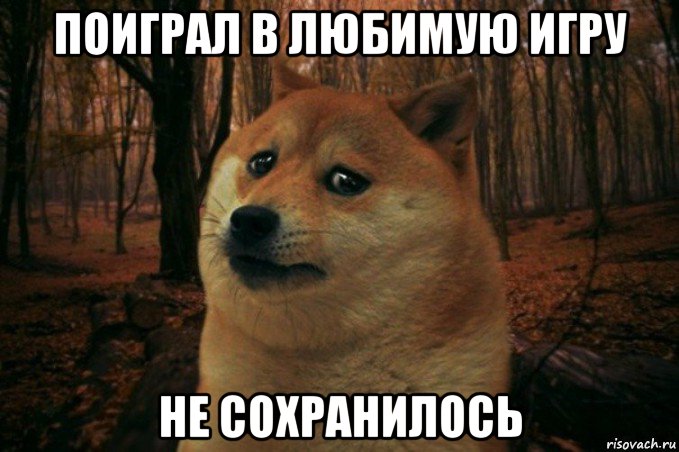 поиграл в любимую игру не сохранилось, Мем SAD DOGE