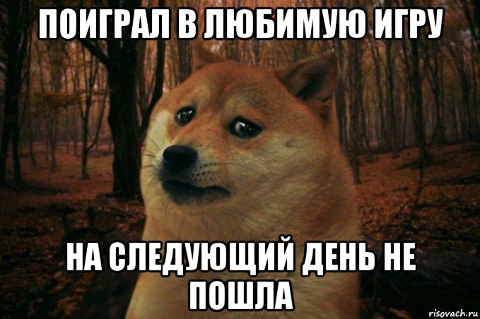 поиграл в любимую игру на следующий день не пошла, Мем SAD DOGE