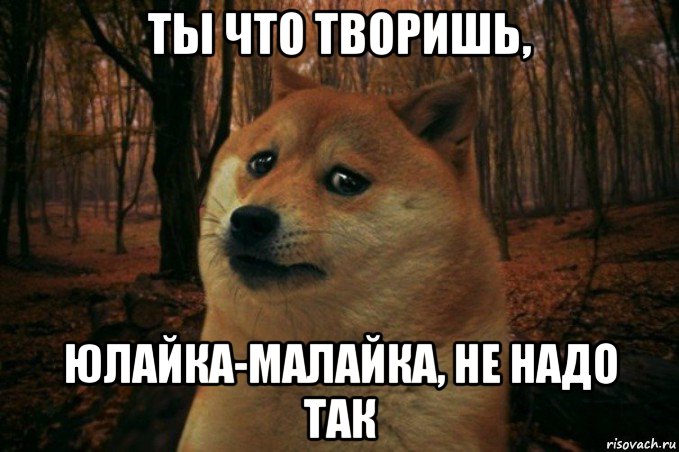 ты что творишь, юлайка-малайка, не надо так, Мем SAD DOGE