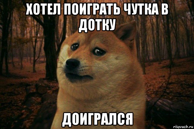 хотел поиграть чутка в дотку доигрался, Мем SAD DOGE