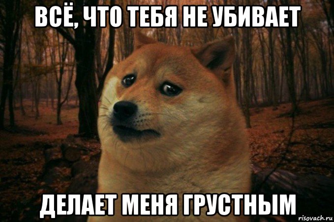 всё, что тебя не убивает делает меня грустным, Мем SAD DOGE