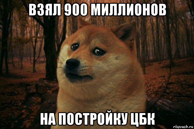 взял 900 миллионов на постройку цбк, Мем SAD DOGE