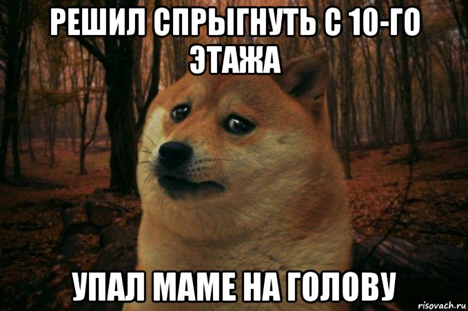 решил спрыгнуть с 10-го этажа упал маме на голову, Мем SAD DOGE