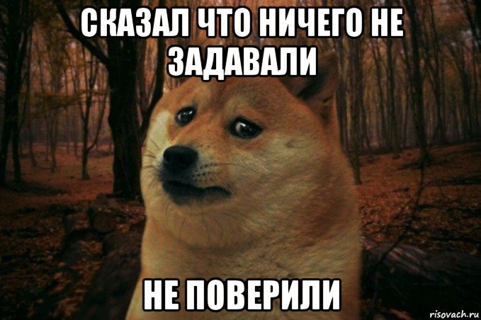 сказал что ничего не задавали не поверили, Мем SAD DOGE