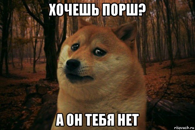 хочешь порш? а он тебя нет, Мем SAD DOGE