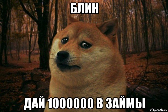 блин дай 1000000 в займы, Мем SAD DOGE