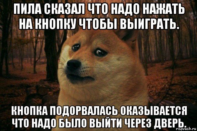 пила сказал что надо нажать на кнопку чтобы выиграть. кнопка подорвалась оказывается что надо было выйти через дверь., Мем SAD DOGE