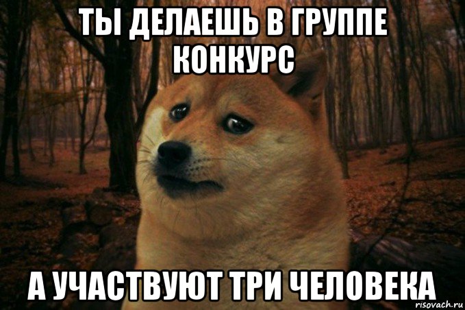 ты делаешь в группе конкурс а участвуют три человека, Мем SAD DOGE