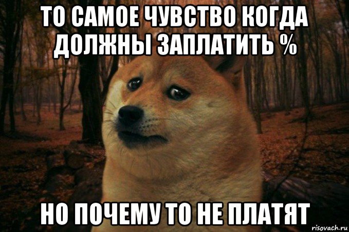 то самое чувство когда должны заплатить % но почему то не платят, Мем SAD DOGE