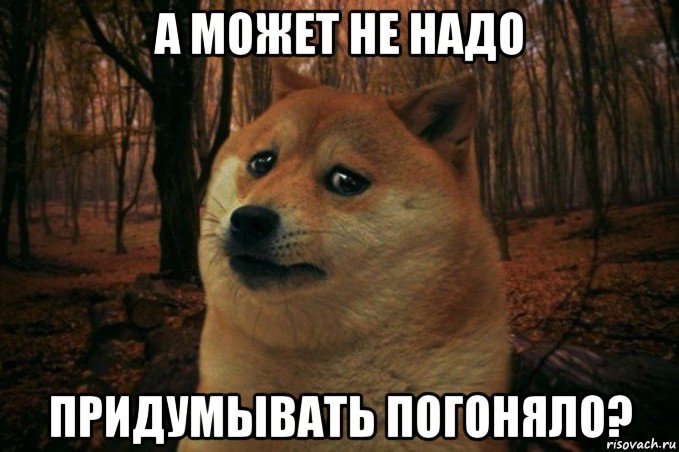 а может не надо придумывать погоняло?, Мем SAD DOGE