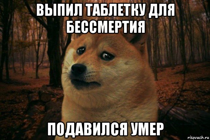 выпил таблетку для бессмертия подавился умер, Мем SAD DOGE