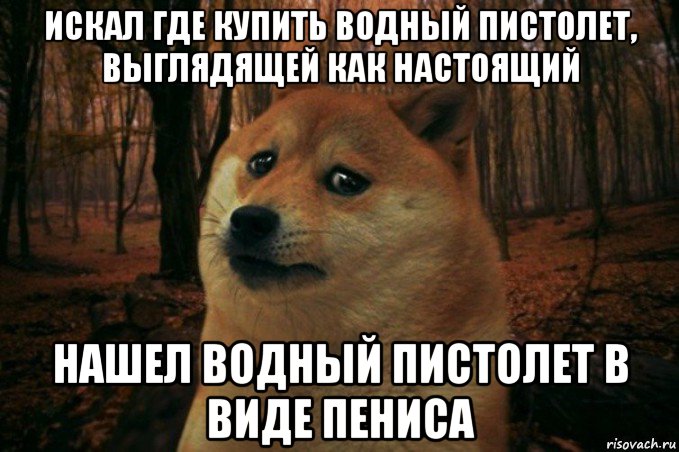 искал где купить водный пистолет, выглядящей как настоящий нашел водный пистолет в виде пениса, Мем SAD DOGE