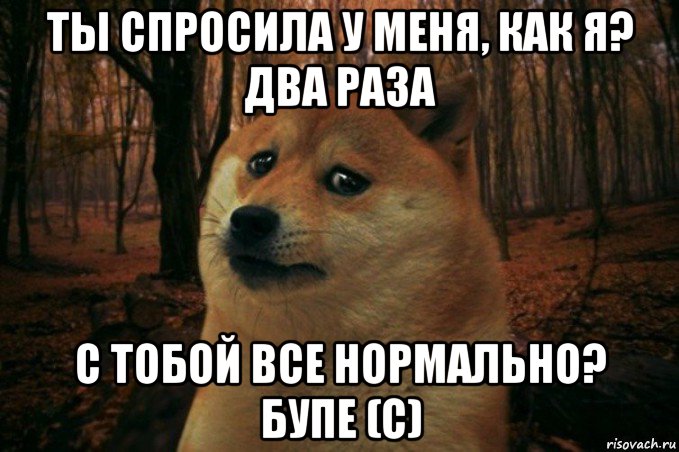 ты спросила у меня, как я? два раза с тобой все нормально? бупе (с), Мем SAD DOGE