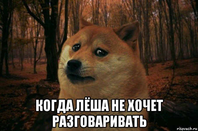  когда лёша не хочет разговаривать, Мем SAD DOGE