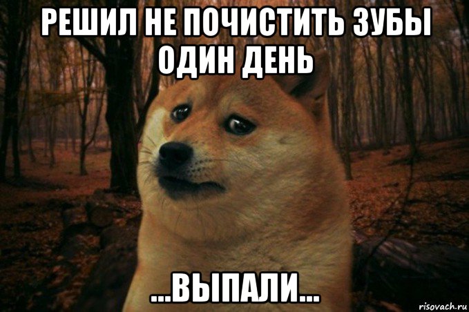 решил не почистить зубы один день ...выпали..., Мем SAD DOGE