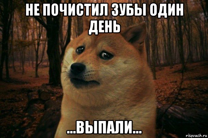 не почистил зубы один день ...выпали..., Мем SAD DOGE