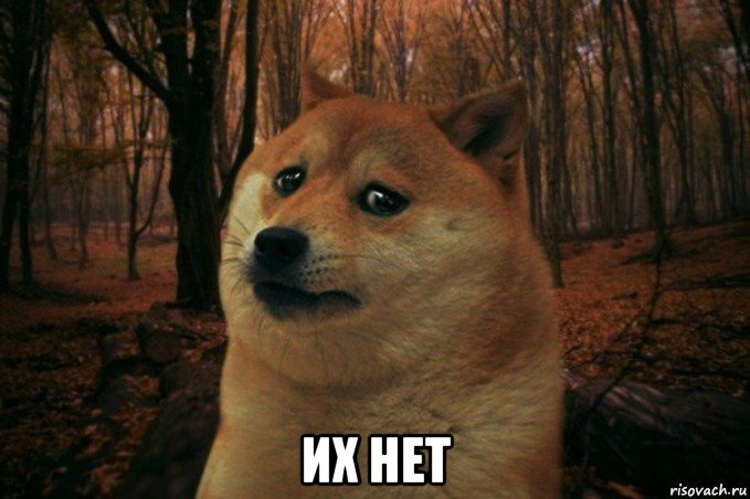  их нет, Мем SAD DOGE