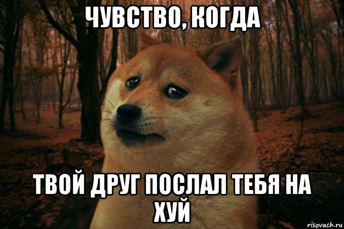 чувство, когда твой друг послал тебя на хуй, Мем SAD DOGE