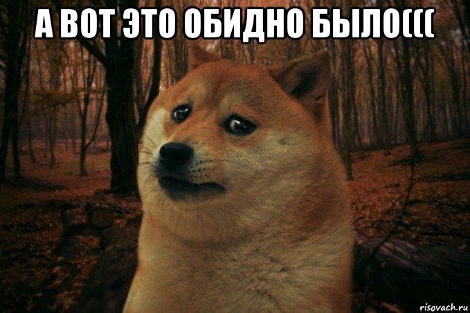 а вот это обидно было((( , Мем SAD DOGE