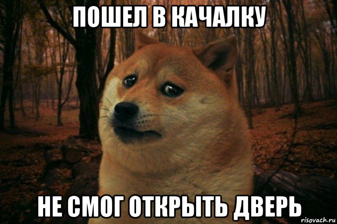 пошел в качалку не смог открыть дверь, Мем SAD DOGE