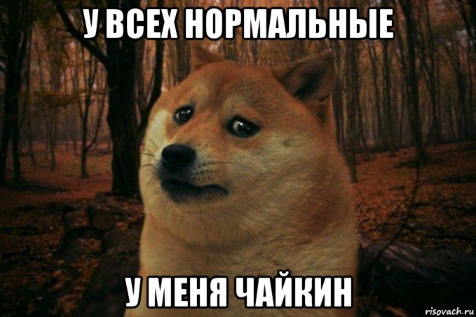 у всех нормальные у меня чайкин, Мем SAD DOGE