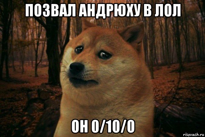 позвал андрюху в лол он 0/10/0, Мем SAD DOGE