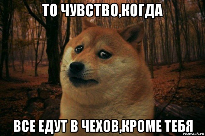 то чувство,когда все едут в чехов,кроме тебя, Мем SAD DOGE