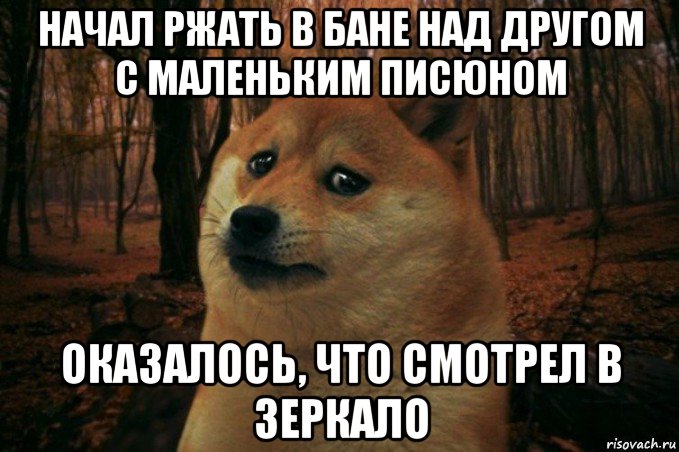 начал ржать в бане над другом с маленьким писюном оказалось, что смотрел в зеркало, Мем SAD DOGE