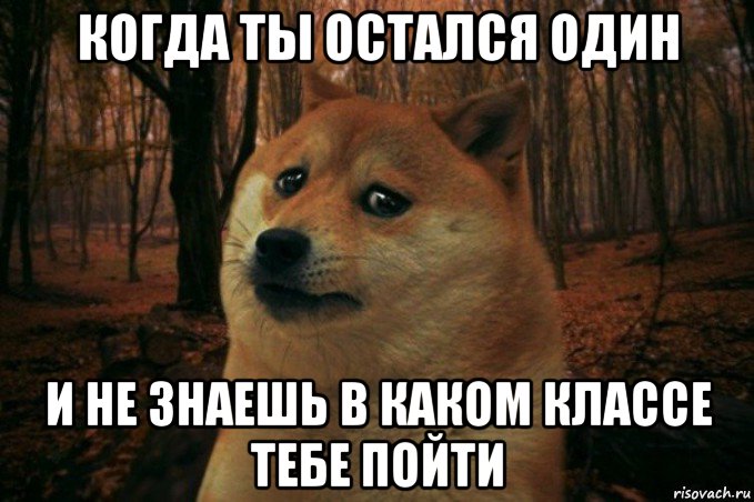 когда ты остался один и не знаешь в каком классе тебе пойти, Мем SAD DOGE