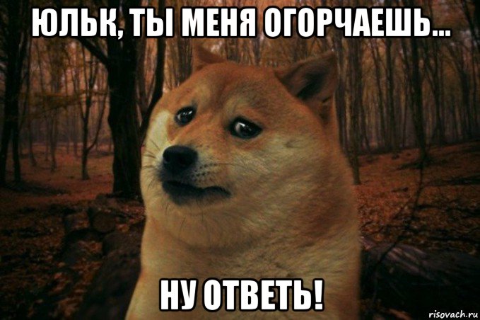 юльк, ты меня огорчаешь... ну ответь!, Мем SAD DOGE