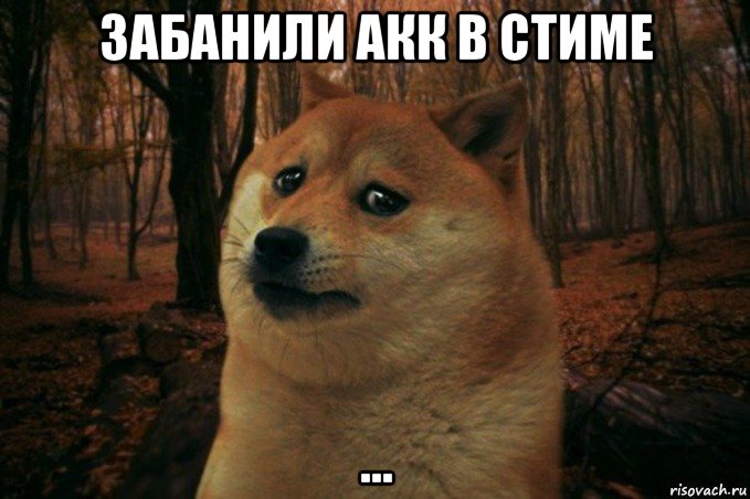 забанили акк в стиме ..., Мем SAD DOGE