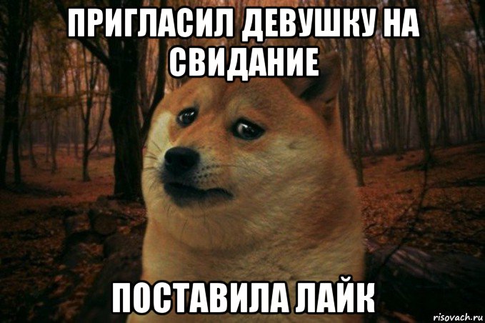 пригласил девушку на свидание поставила лайк, Мем SAD DOGE