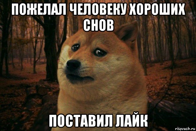 пожелал человеку хороших снов поставил лайк, Мем SAD DOGE