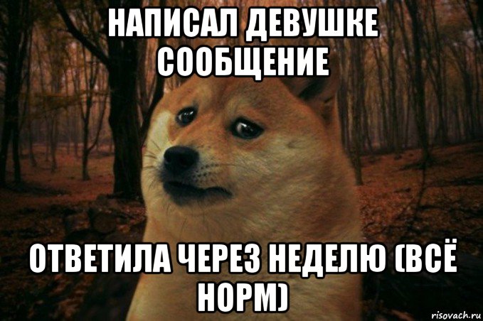 написал девушке сообщение ответила через неделю (всё норм), Мем SAD DOGE