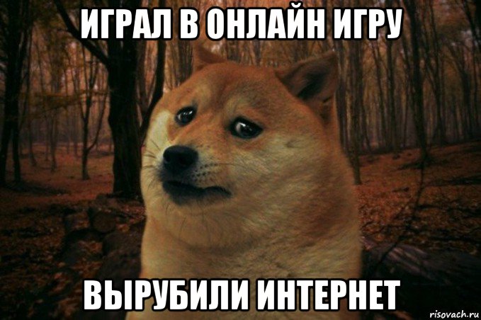 играл в онлайн игру вырубили интернет, Мем SAD DOGE