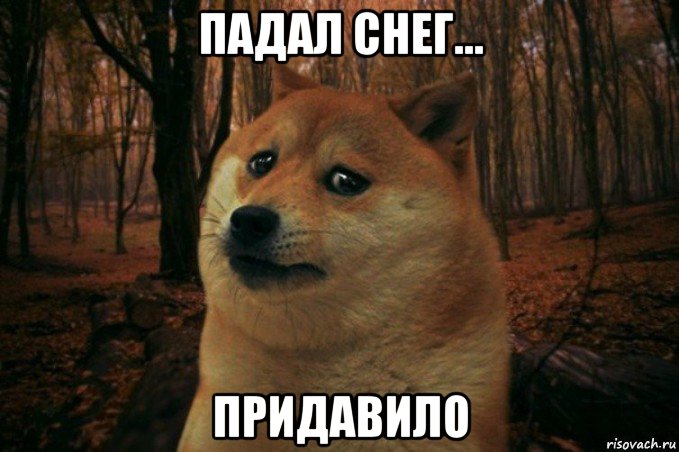 падал снег... придавило, Мем SAD DOGE