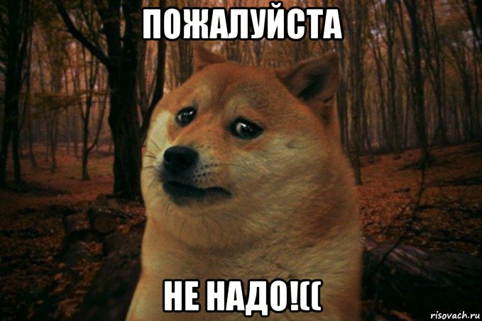 пожалуйста не надо!((, Мем SAD DOGE