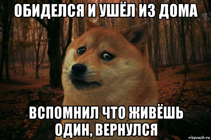 обиделся и ушёл из дома вспомнил что живёшь один, вернулся, Мем SAD DOGE