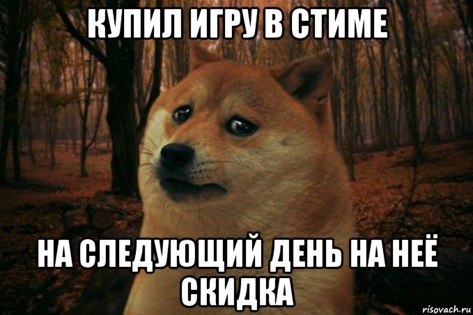 купил игру в стиме на следующий день на неё скидка, Мем SAD DOGE