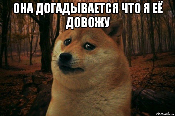 она догадывается что я её довожу , Мем SAD DOGE