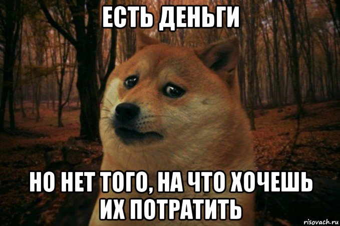 есть деньги но нет того, на что хочешь их потратить, Мем SAD DOGE